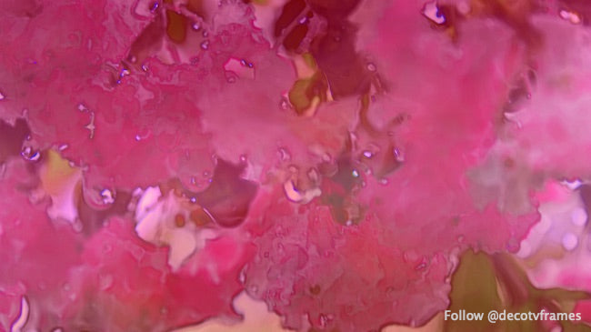 Myrte de crêpe abstraite