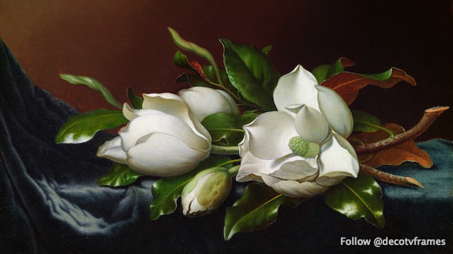 Magnolias on Light Blue Velvet Cloth (ca. 1885)