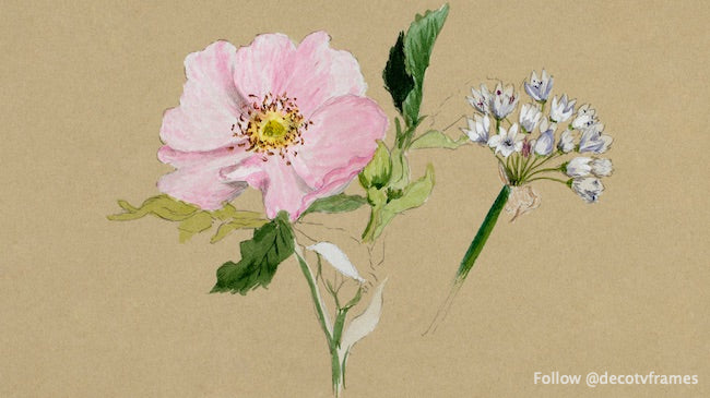 Étude de fleurs (1876-1878) 