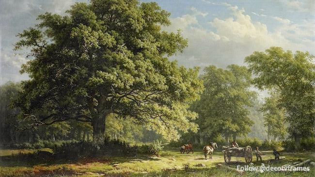 Vue dans la forêt de Bentheim 