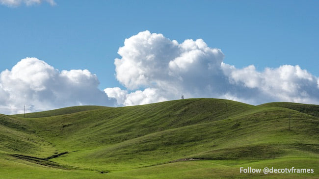 View of the verdant San Joaquin Valley near Gustine in Merced County, California