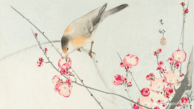 Songbird on blossom branch (1900 - 1936)