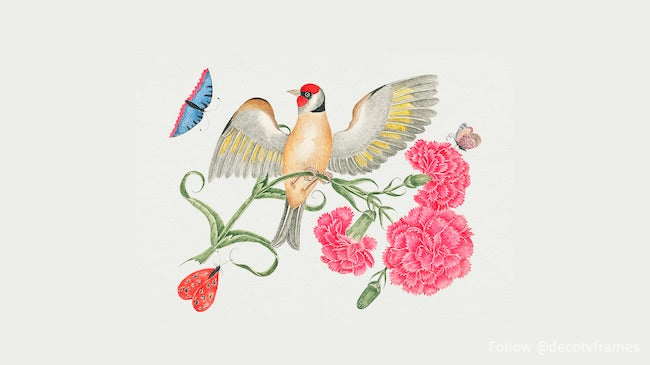 L'illustration du XVIIIe siècle d'un oiseau brun à tête rouge sur une tige d'œillet avec des papillons 