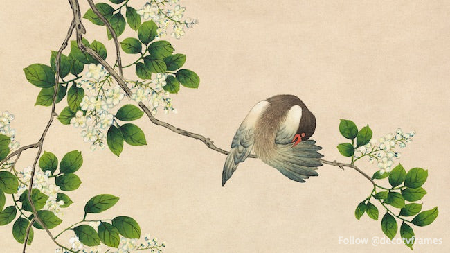 Preening Bird (18th Century)