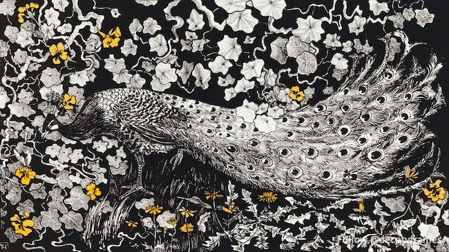 Pauw (in or before 1877â€“1903)