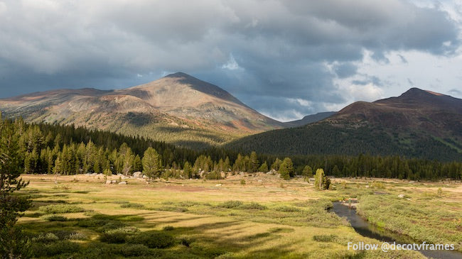 Yosemite National Park