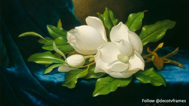 Giant Magnolias on a Blue Velvet Cloth