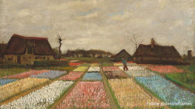 Bulb Fields